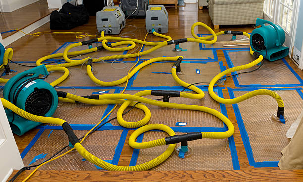 Professional Flood Damage Restoration technician working in Conifer, CO